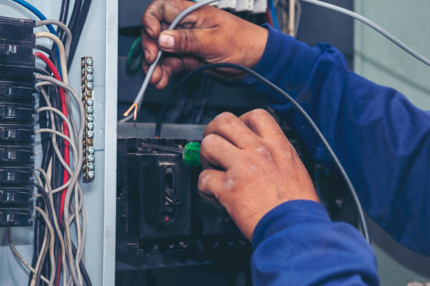 Best Electrician for Home Renovation  in Minerva Park, OH